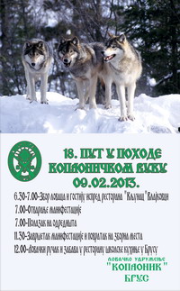18. ПУТ У ПОХОДЕ КОПАОНИЧКОМ ВУКУ