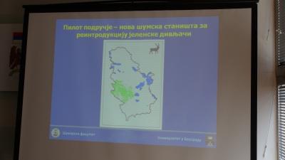 СТРУЧНО-НАУЧНА ТРИБИНА О ЈЕЛЕНСКОЈ ДИВЉАЧИ
