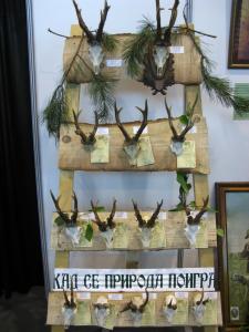 Sajam u Kragujevcu 2013