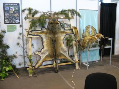 Sajam u Kragujevcu 2013