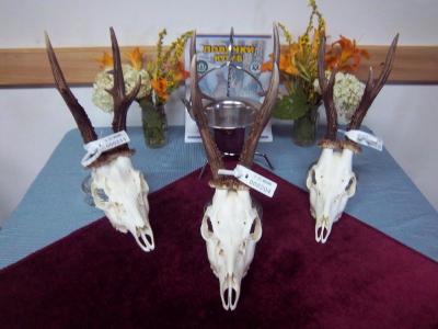 Ocenjivanje trofeja 2013