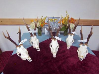 Ocenjivanje trofeja 2013