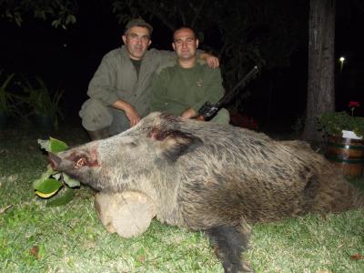 Vladan Milošević i Igor Vasiljević sa odstreljenim veprom od 200 kg