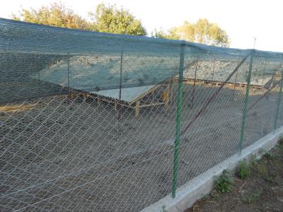 Волијера у Чумићу