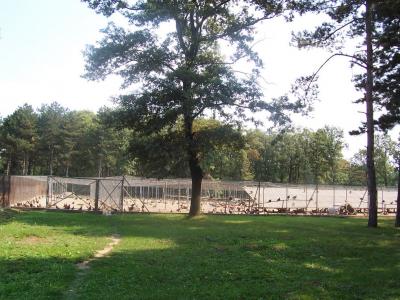 LU "Šumadija" - Kragujevac