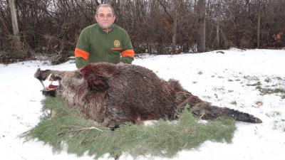 Златни вепар 2017.