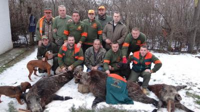 Златни вепар 2017.