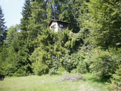 LU „Baljevac“ - Baljevac