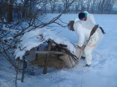 Прихрана дивљачи