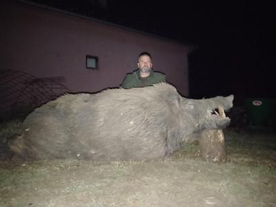 ОДСТРЕЉЕН ВЕПАР ОД 290 КИЛОГРАМА