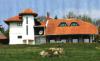 varovnice-mladenovac_t1.jpg