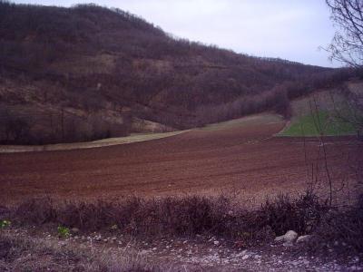 LU "Srebrnica" - Stragari