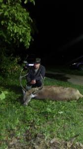 Одстрел европског јелена