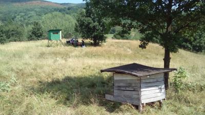 Затворене чеке