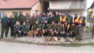 "Златна лисица Чукаре"