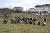 Кликните за преглед kotlenik_2013_2_t1.jpg